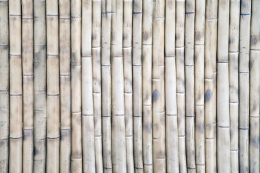 Duvar, bambu arka plan