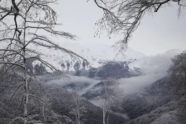 Güzel Kayak Merkezi Dağlarda Dağ Evi Kayak Sezonu Nun Başlangıcına — Stok fotoğraf