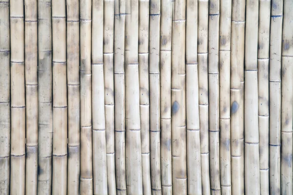 Duvar, bambu arka plan