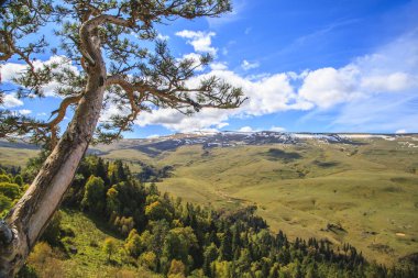 Lagonaki (Lagonak Highlands) - plateau in the Western Caucasus,  clipart