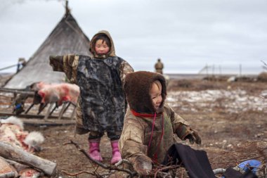 Nadym, Rusya - 25 Ağustos 2019: Aşırı kuzey, Yamal, Nenet halkının çayırı, tatilde olan çocuklar ren geyiği otlağı yakınında oynuyorlar, çiftlikte köpeği olan bir kız