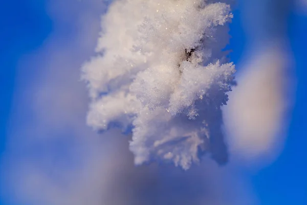 Beau paysage hivernal de la toundra, gel sur les branches de — Photo