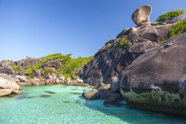 Similan adaları, Tayland. Tropik bir manzara. Tayland 'ın simgesi
