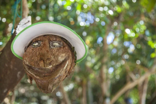 Turism koncept, huvud i form av en kokosnöt med glasögon och — Stockfoto