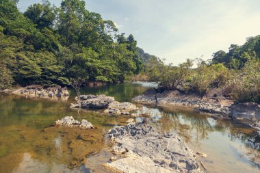 Ninh Binh, Vietnam, arasında pirinç tarlaları güzel manzara