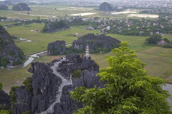 Нинь Бинь, Вьетнам, красивый пейзаж рисовых полей среди — стоковое фото
