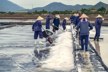 İnsanlar Nha Trang 'ın 40 kilometre kuzeyinde tuz topluyor.