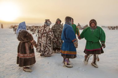  Yamal, açık alan, tundra, aşırı kuzey, ren geyiği yarışları 