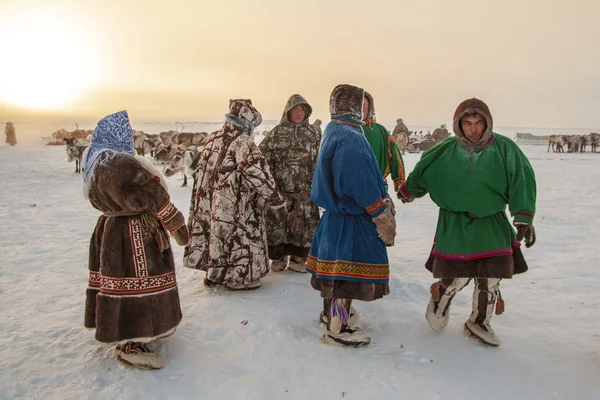 Yamal, offene Landschaft, Tundra, der äußerste Norden, Rennen auf Rentieren — Stockfoto