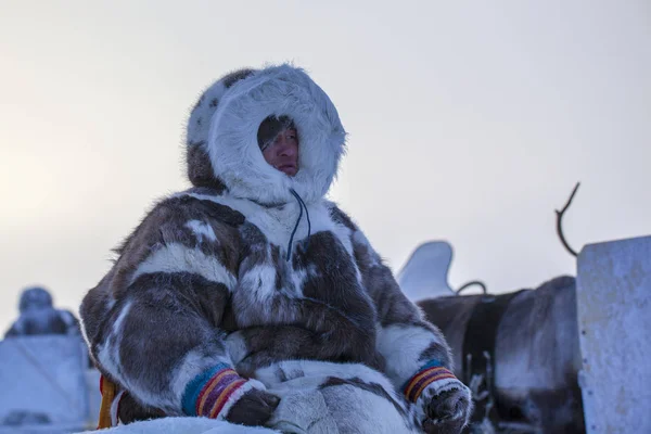 Yamal, offene Landschaft, Tundra, der äußerste Norden, Rennen auf Rentieren — Stockfoto