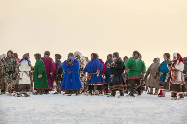 Yamal, öppen yta, tundra, Den yttersta norr, Tävlingar på ren — Stockfoto