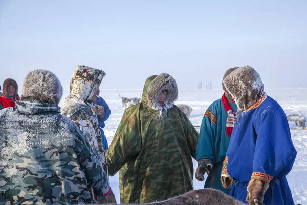 Yamal, área abierta, tundra, el extremo norte, carreras de renos — Foto de Stock