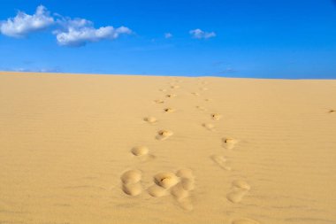 Sahra çölünde kumulların güzel kum dokusu, beyaz kumul