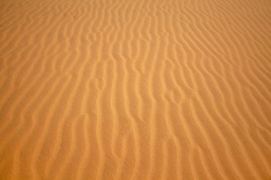 Sahra çölünde kumulların güzel kum dokusu, beyaz kumul