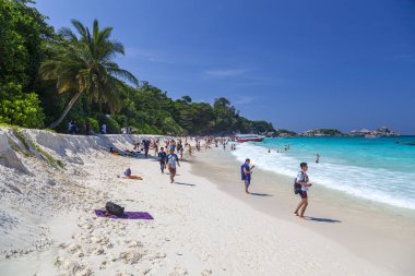 Tropik bir manzara. Asya 'da seyahat kavramı. 