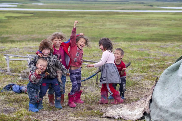Undra, Ekstremalna północ, Yamal, pastwiska ludzi z Nenets, c — Zdjęcie stockowe