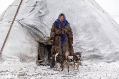 Kuzeyde, tundra, ren geyiği çobanının kız yardımcısı, bir kız