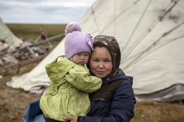 Yamal, Rentiere in der Tundra, Weide der Nenets — Stockfoto