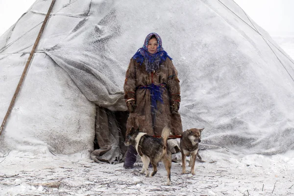 Extremo norte, tundra, ajudante das renas pastora, uma menina em — Fotografia de Stock