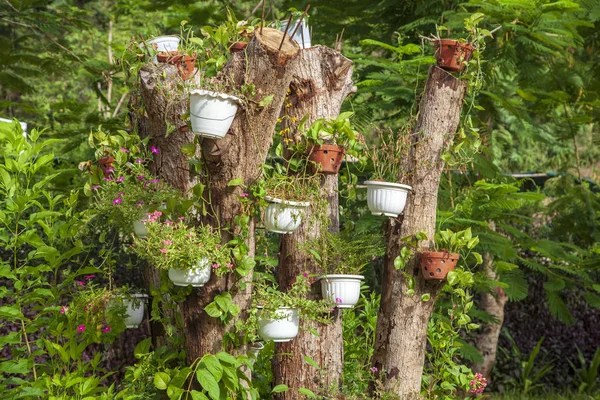 Paisajismo, decoración de un árbol viejo con plantas cultivadas — Foto de Stock