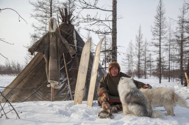 Yamal'ın çok kuzeyinde, tundra, mera nord reindeers, closeup liman