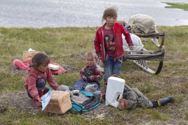Tundra 'nın bir sakini, Kuzey' in uç noktası, Nene 'nin otlağı