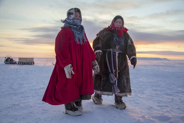 Nadym Rosja Lutego 2020 Yamal Obszar Otwarty Tundra Ekstremalna Północ — Zdjęcie stockowe