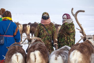 Nadym, Rusya - 23 Şubat 2020: Yamal, açık alan, tundra, en kuzeyde ren geyiği kızağı yarışları Yamal 'da ren geyiği çobanı günü, ulusal giyinmiş kadınlar.