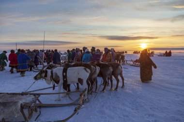 Nadym, Rusya - 23 Şubat 2020: Uzak Kuzey, Yamal Yarımadası, Ren Geyiği Çobanı Günü, Nenets 'in ulusal kıyafetleri içinde yerel halk