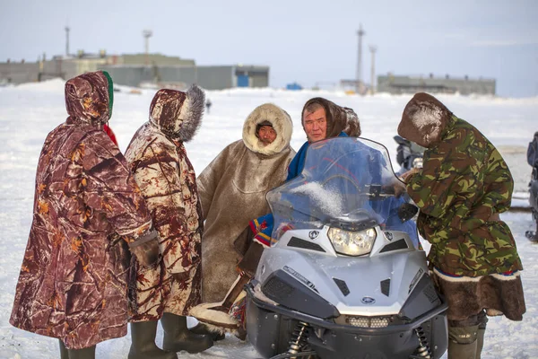 Nadym Russland Februar 2020 Der Äußerste Norden Jamal Halbinsel Hirschgeschirr — Stockfoto