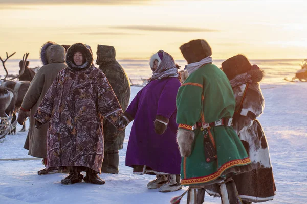 Nadym Russia February 2020 Far North Yamal Peninsula Reindeer Herder — Stock Photo, Image