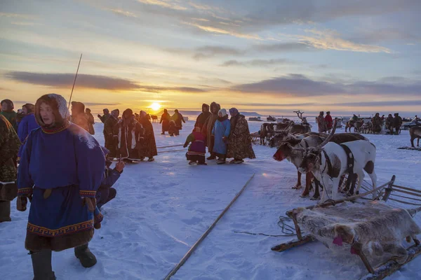 Nadym Russland Februar 2020 Hoher Norden Jamal Halbinsel Tag Der — Stockfoto