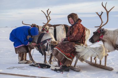 Nadym, Rusya - 23 Şubat 2020: Uzak Kuzey, Yamal Yarımadası, Ren Geyiği Çobanı Günü, Nenets 'in ulusal kıyafetleri içinde yerel halk