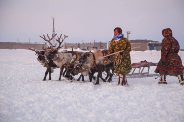 Nadym, Rusya - 23 Şubat 2020: Uzak Kuzey, Yamal Yarımadası, Ren Geyiği Çobanı Günü, Nenets 'in ulusal kıyafetleri içinde yerel halk