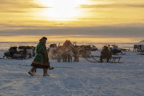 Nadym Russie Février 2020 Grand Nord Péninsule Yamal Fête Des — Photo