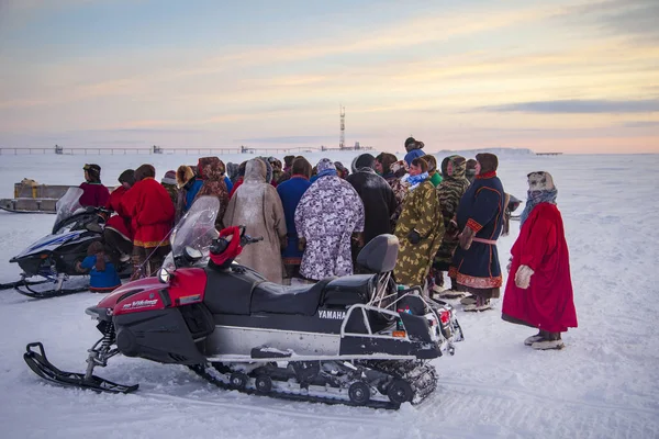 Nadym Rusya Şubat 2020 Uzak Kuzey Yamal Yarımadası Ren Geyiği — Stok fotoğraf