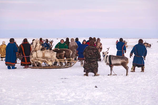 ロシア ナディム2020年2月23日 極東北半島 ヤマル半島 トナカイの群れの日 ネネツの民族衣装を着た地元住民 — ストック写真