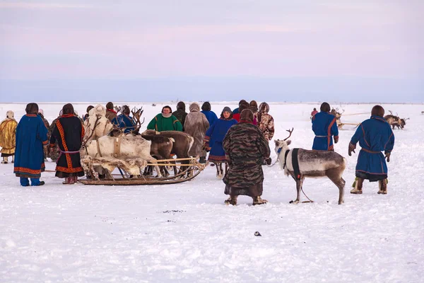 Nadym Russie Février 2020 Grand Nord Péninsule Yamal Fête Des — Photo