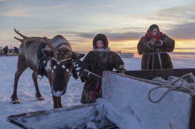 En kuzeyde Yamal, Nenets halkının geçmişi, kuzeydeki insanların evleri, tundrada yurt yakınlarında bir aile fotoğrafı.