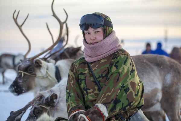 Far North Yamal Peninsula Reindeer Herder Day Local Residents National — Stock Photo, Image