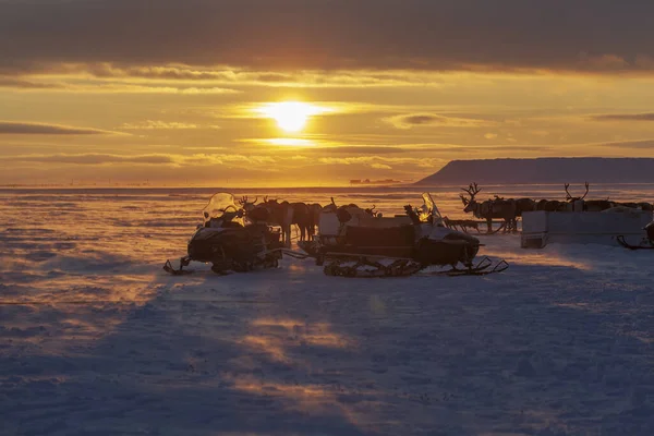 Extremo Norte Península Yamal Paisaje Invernal Trineo Madera Con Motos — Foto de Stock