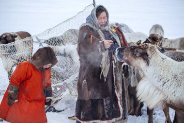 En kuzeyde Yamal, Nenets halkının geçmişi, kuzeydeki insanların evleri, tundrada yurt yakınlarında bir aile fotoğrafı.