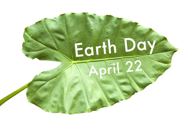 Happy Earth Day April Large Heart Shaped Green Leaves Elephant — Stock Photo, Image