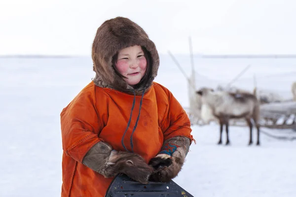 Mieszkaniec Tundry Rdzenni Mieszkańcy Dalekiej Północy Obszar Otwarty Dziewczynka Czerwonych — Zdjęcie stockowe