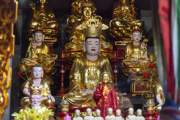 越南大农 2019年6月27日 越南大农林恩寺菩萨菩萨女神像 金佛像 在越南 — 图库照片