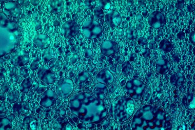 Su arka planı, sabun köpüklerinin soyut arkaplanı, yeşile boyanmış.