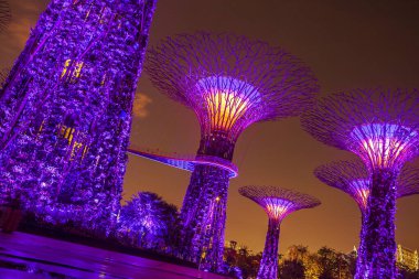 MARINA BAY, SINGAPORE 4 Eylül 2019 Singapur Şehir Binası, Gece Şehri manzarası