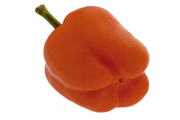 Grote Paprika Paprika Van Oranje Kleuren Een Witte Achtergrond Geïsoleerd — Stockfoto