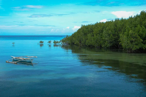 Philippinische Inseln Wunderschöne Küste Der Insel Bohol Schneeweißer Strand — Stockfoto