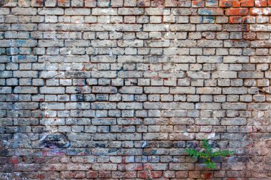 Eski tuğla duvar dokusu, kırmızı beyaz arka plan, eski tuğla duvar. Grunge 'un geçmişi. Bric. Kırsal biçim 